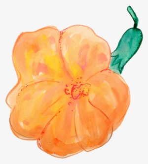 Thank You - Lily #40219 Thank You - Lily #40219