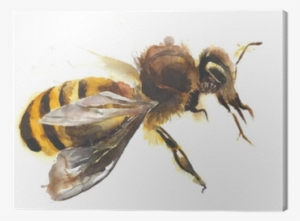 Honey Bee Watercolor Painting Hand Made Isolated On - Watercolor Painting #40271