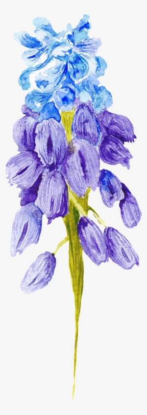 27n58picdmr 1024 X Oss Process=image/quality,q 80/watermark - Scilla #40553