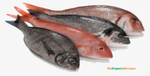 Free Png Fish Meat Png Images Transparent - Fish Meat #40673