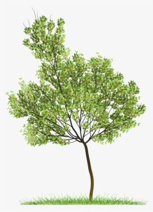 Transparent Green Tree Png Clipart - Tree Png #40817