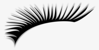 Eyelash - Eye Lashes Clipart #40999 Eyelash - Eye Lashes Clipart #40999