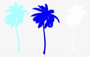 Vector Palm Trees Svg Clip Arts 600 X 381 Px #41574 Vector Palm Trees Svg Clip Arts 600 X 381 Px #41574