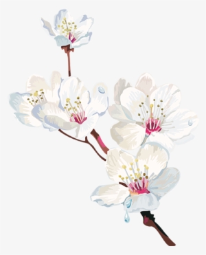 Tubes Arbres / Arbustes / Feuillages Cherry Blossom - Png Watercolor Cherry Blosom #41638 Tubes Arbres / Arbustes / Feuillages Cherry Blossom - Png Watercolor Cherry Blosom #41638