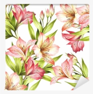 Alstroemeria Drawing Watercolor - Watercolor Painting #41723