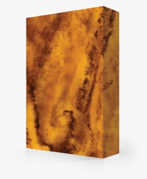 Digital Download Available - Still Life #41922