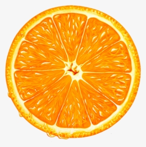 Orange Slice Png Clipart - Orange Slice Clipart #41970