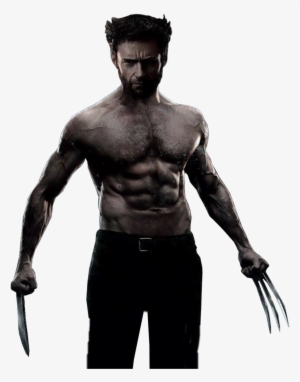 Wolverine Png Image - X Men Wolverine Transparent #42254
