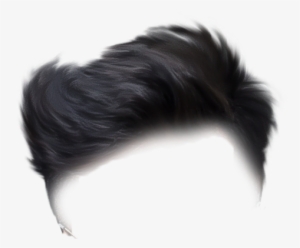 Hair Png - Picsart Photo Studio #42461