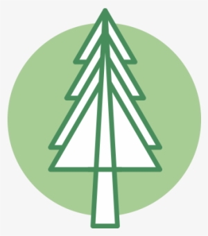 Free Icons Png - Boreal Forest Icon #42657