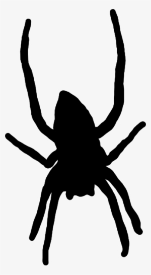 Cartoon Spider Template - Spider Transparent Cartoon #42810