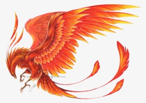 Phoenix - Phoenix Transparent #43188
