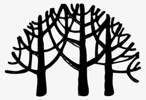 Png File - Tropical Rainforest #43291