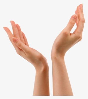 Hands Png #43353