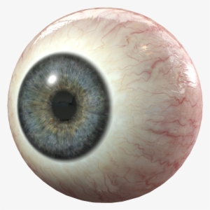 Human Eyes Png Vector Royalty Free Library - Eye 3d Model #43562