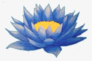 Lotus Flower Tattoos- High Quality Photos And Flash - Lotus Flower Blue Png #43636
