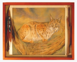 Watercolor Painting On Silk Of A Bobcat, Crouched In #43924