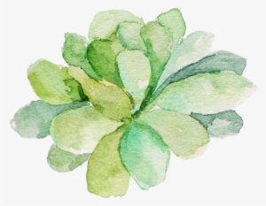 Watercolor Succulent Png Svg Royalty Free Library - Watercolor Succulents Clear Background #44069