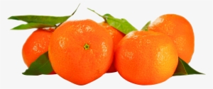 Orange Png #44574