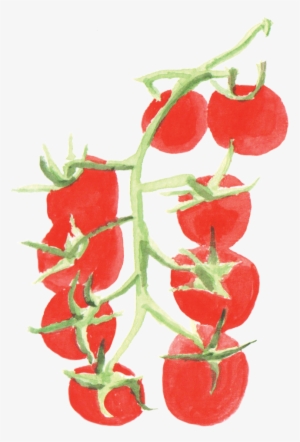 File - 小番茄cherrytomato - Thumbnail #44653