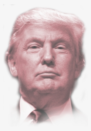 Follow Donald Trump - Robert S Trump #45007