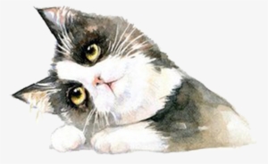 Clip Art Free Stock British Shorthair Ragdoll Hand - Cat #45364