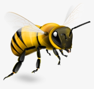 Bee Png #45748
