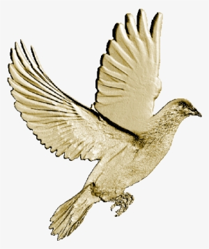 Golden Dove - Golden Dove Diner Restaurant #46028 Golden Dove - Golden Dove Diner Restaurant #46028