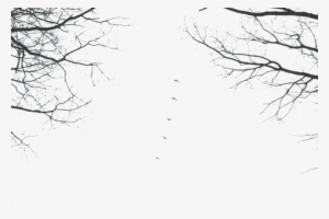 Visit - Cherry Blossom #46055 Visit - Cherry Blossom #46055