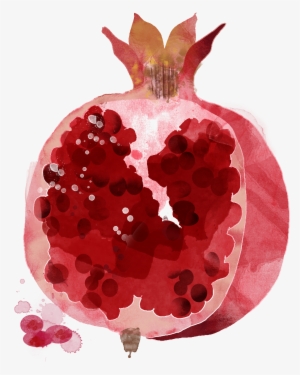 Watercolor Painting Illustration Hand - Pomegranate Illustration Png #46673