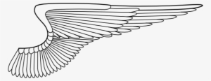 Wings Png Images Transparent Free Download - Clip Art #46720