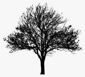 Tree Silhouette At Getdrawings - Silhouette Tree Png #47026 Tree Silhouette At Getdrawings - Silhouette Tree Png #47026