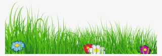Ground Clipart Clear Background Grass - Grass Clipart Transparent Background #47141