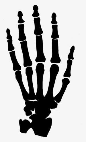 Hand Clipart Black And White Png - Skeleton Hand No Background #47403