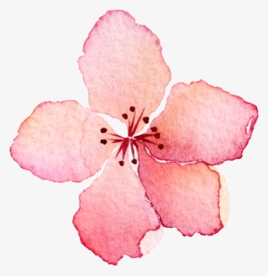 This Graphics Is Pink Hand Painted Flowers Cartoon - 花朵 图案 #47538