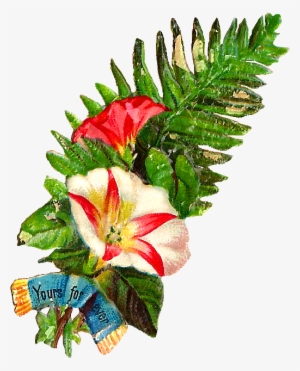 Beautiful Clipart Flower Bokeh - Clip Art #47675