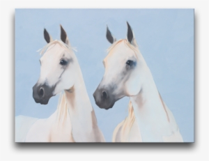 His Accounts Have Included Jack Nicklaus And Golden - Stallion #47676