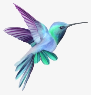 Image Result For Hummingbird - Hummingbird Clipart #47744