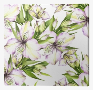 Alstroemeria Drawing Watercolor - Watercolor Painting #47772