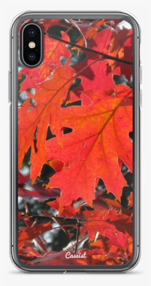 Autumn Maple Iphone Case - Zazzle Red Leaves Poster #47947