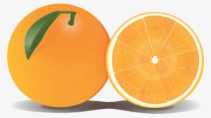 Orange Png Clipart - Orange Clıpart #48155