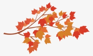Autumn Branch Png #48351
