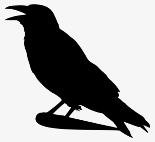 Spinnerte Geschichte - Crow Clipart #48414