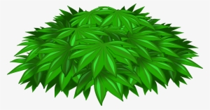 Plant Png #48510