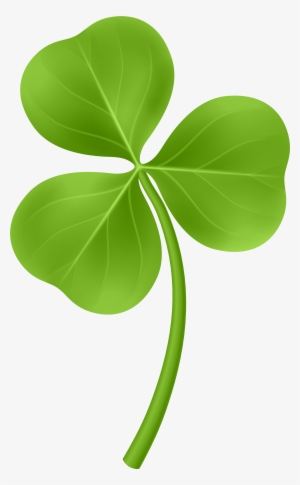 Shamrock Png #48536