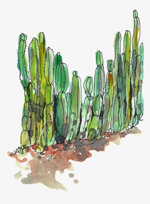 Cactaceae Desert Succulent Plant Cactus Fence - Cactus #48680