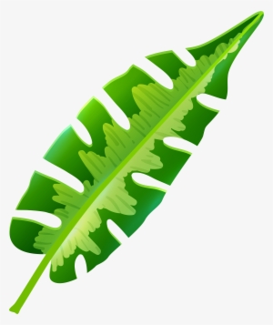 Tropical Leaf Png Clip Art #48946
