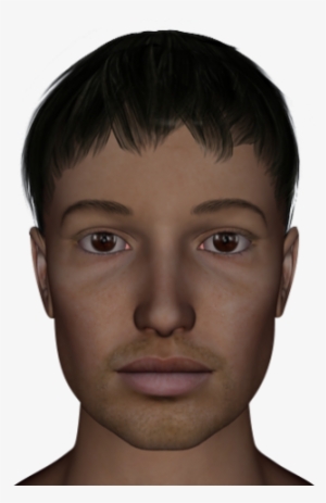 Short Eyebrows - Middle Eyebrows #49270