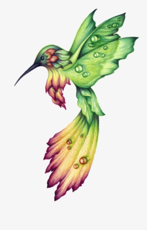 Hummingbird Drawings Google Search - Colibri Dibujo A Lapiz #49567