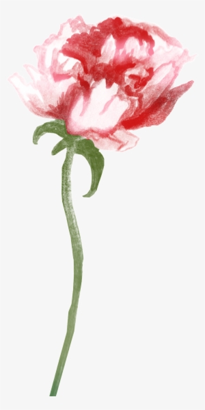 47z58picgyb 1024 X Oss Process=image/quality,q 70/watermark - Clip Art #49788